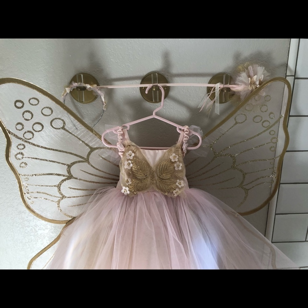 Pottery Barn Kids butterfly fairy costume